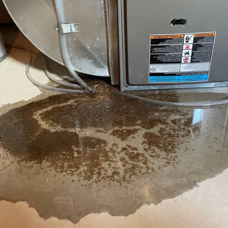 Pipe Burst and Leak Restoration in Horton, KS