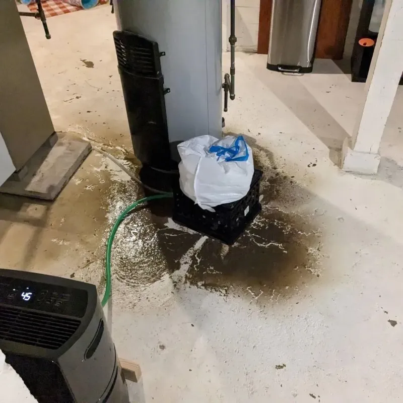 Sewage Backup Cleanup Service in Horton, KS